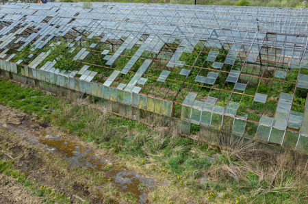 Abandoned greenhouses damaged and destroyed by the hailの写真素材