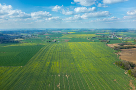 Aerial view of the large green field in spring season Aerial view of the large green field in spring season
