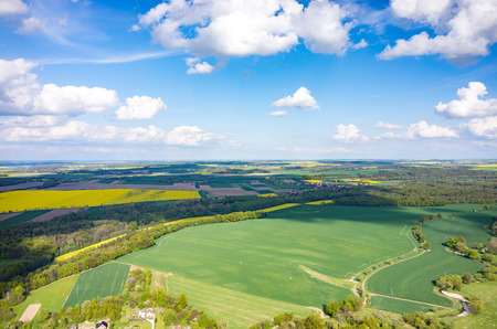 Aerial view on the large colza fieldの写真素材