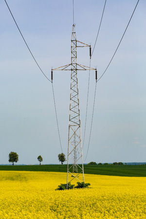 The powerlines on the yellow rape fieldの写真素材