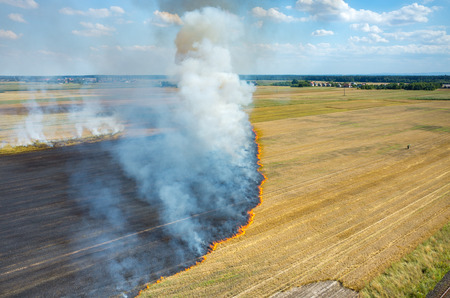 Big fire on the large wheat fieldの写真素材