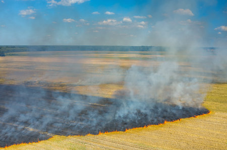 Big fire on the large wheat fieldの写真素材