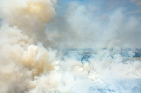 Big fire on the large wheat fieldの写真素材