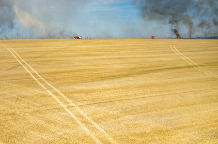 Aerial view on the fireman truck working on the field on fireの写真素材