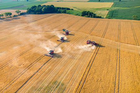 Aerial view on the combines and tractors working on the large wheat fieldの写真素材