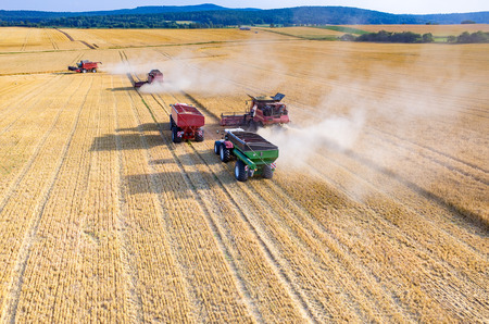 Aerial view on the combines and tractors working on the large wheat fieldの写真素材