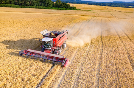 Aerial view on the combine working on the large wheat fieldの写真素材