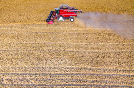 Aerial view on the combine working on the large wheat field