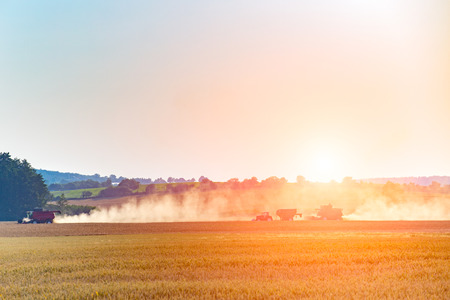 Sunset above the combine working on the large barley fieldの写真素材