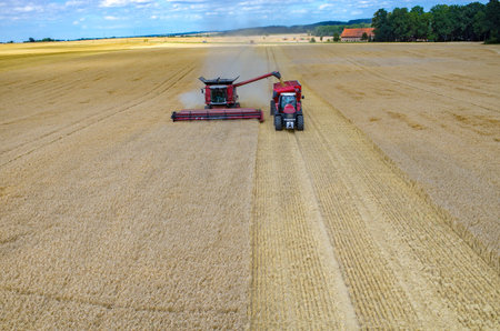 Aerial view on the combines and tractors working on the large wheat fieldの写真素材