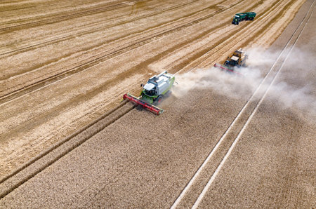 Aerial view on the combines and tractors working on the large wheat field