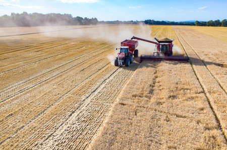 Aerial view on the combine filling the truck with the wheat seeds