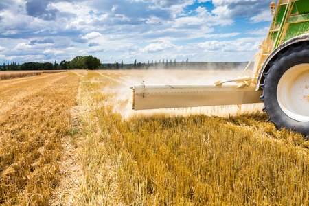 The liming action on the large wheat fieldの写真素材