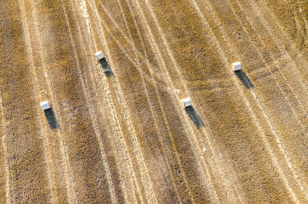 Aerial view on the wheat field with hay bales