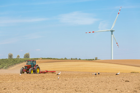 The windmills and the tractor working on the large field with storksの写真素材