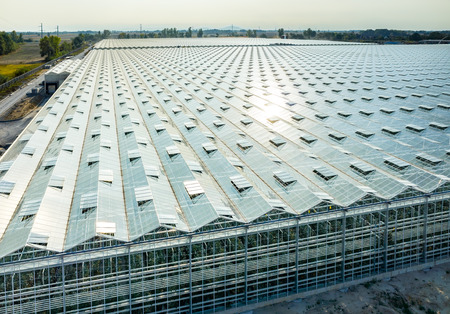 Aerial view on the large modern greenhouseのeditorial素材