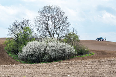 Large view on the tractor harrowing the field in spring seasonの写真素材