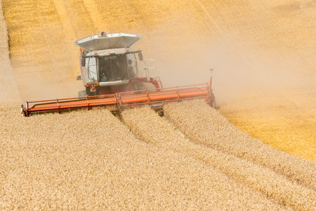 Large view on the harvester working on the field