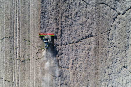 Aerial view on the harvester working on the field