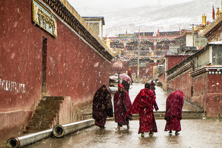 seda at tibet in the snowのeditorial素材