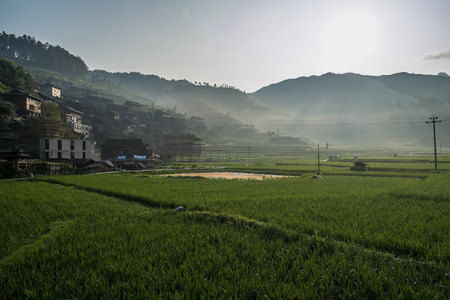 village & forest viewの写真素材