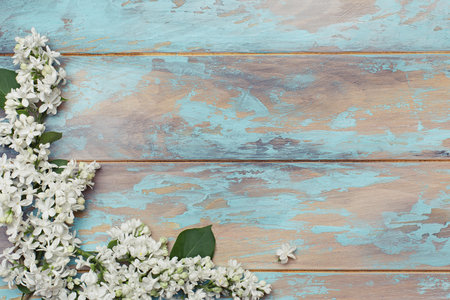 Floral background with white lilac flowers on blue wooden desk