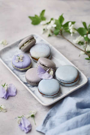 Set of various multicolored pastel macarons with flowers in marble plate on gray concrete background. Side view, close upの写真素材