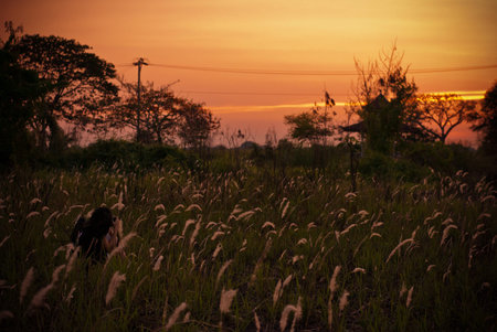 Prairie Sunset with somebody take a photo in grassの写真素材