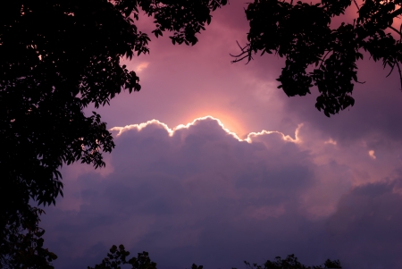 Silhouettes of trees with the sun hide behind huge cloud- Beautiful fiery sunset の写真素材