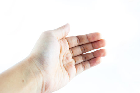 hand on the isolated background - hand holding  
