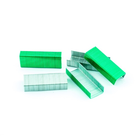 Green Staples isolated on white background - Staple needleの写真素材