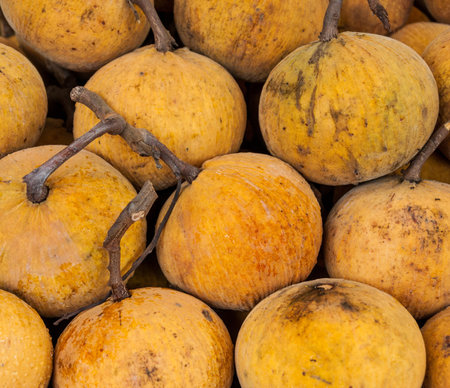 Yellow Sandoricum koetjape or Santol fruit in Thailand marketの写真素材