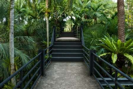 beautiful garden corridor - natural open corridor in botanic parkの写真素材