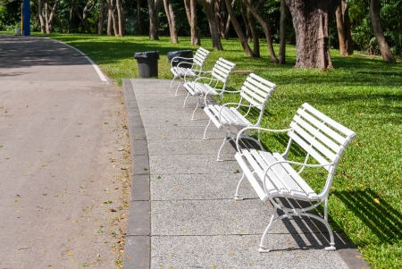 White bench in lush garden or parkの写真素材