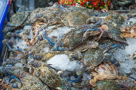 Fresh crabs ready to be cooked on ice in a fish marketの写真素材