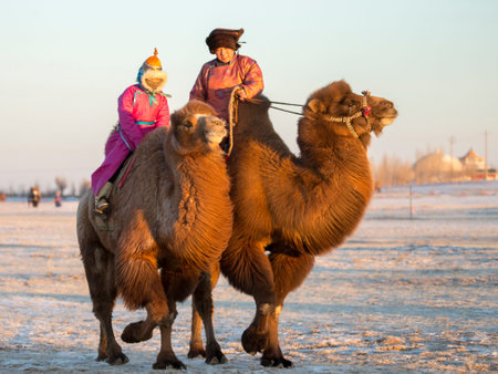 mongolia camel herders teach children to ride a camelのeditorial素材