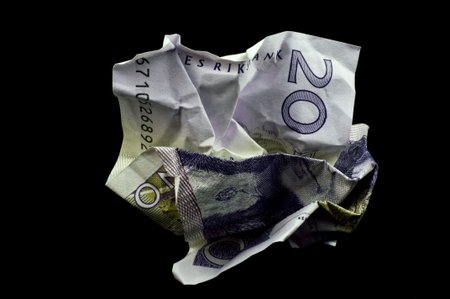 swedish money 