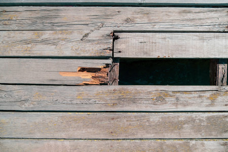 Wooden wall with holes in the form of a lattice.