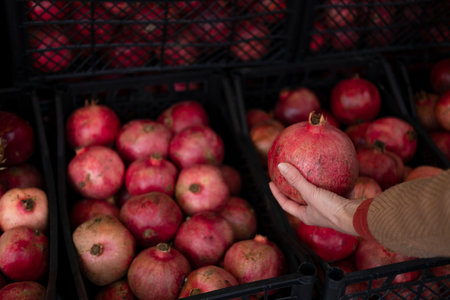 Pomegranate in the hands of a man in the storeの写真素材