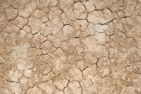 Dry cracked earth background. Global warming and climate change concept.