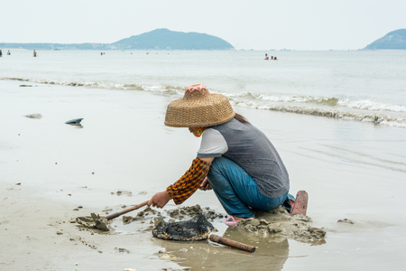 A Chinese woman searching clams by hands at the beachの写真素材