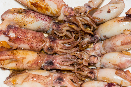 Chinese food - Fried squids on dishの写真素材