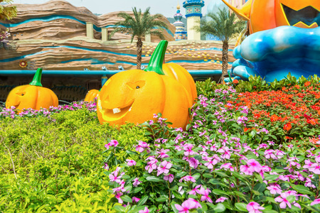 Carved golden pumpkins and faces in the park to cerebrate the Halloweenのeditorial素材