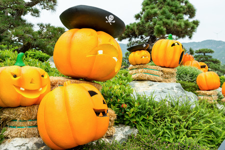 Carved golden pumpkins and faces in the park to cerebrate the Halloweenのeditorial素材