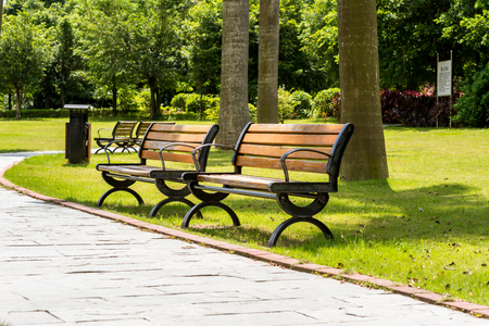 Empty benches under the palm tree in the tropical parkの写真素材
