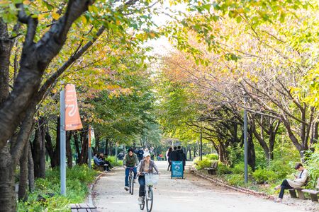 People riding bicycles on the bridge at the Seoul forest park in downtown of Seoul, in South Koreaのeditorial素材