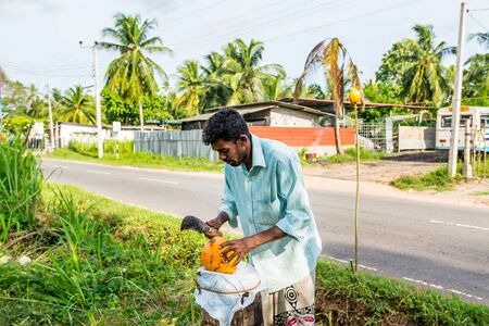 A Sri lanka man cutting yellow king coconut shell by machete to drink refreshing sweet coconut milk at his street stall.のeditorial素材