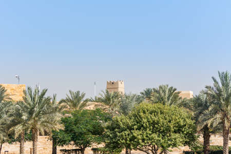 Green date trees growing in the park in the Ruins of Diraiyah, also as Dereyeh and Dariyya, a old town in Riyadh, Saudi Arabiaの写真素材