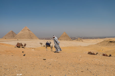 A lonely Egyptian man and Camels in the Giza pyramid complex, an archaeological site on the Giza...