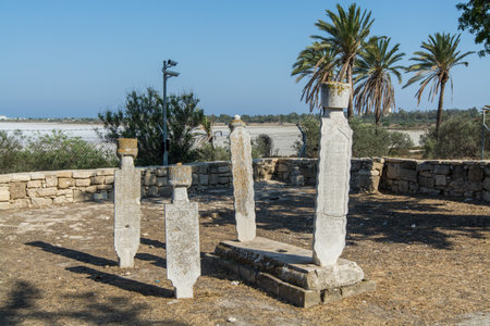 Tombs in the ancient mosque Hala Sultan Tekke or the Mosque of Umm Haram near the shore of the salt lake in Cyprus in Larnacaのeditorial素材